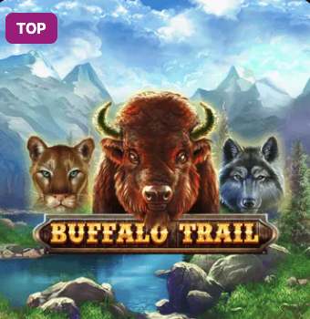 Buffalo Trail